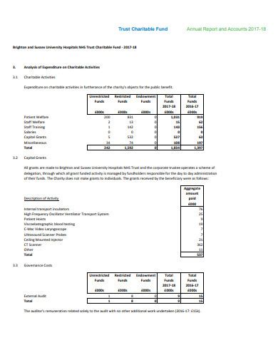 small charity annual report template.